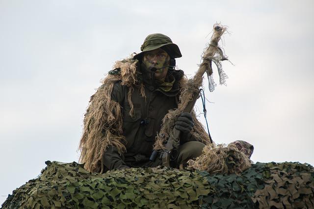 軍事偽裝 (1).jpg 軍事偽裝 (1).jpg